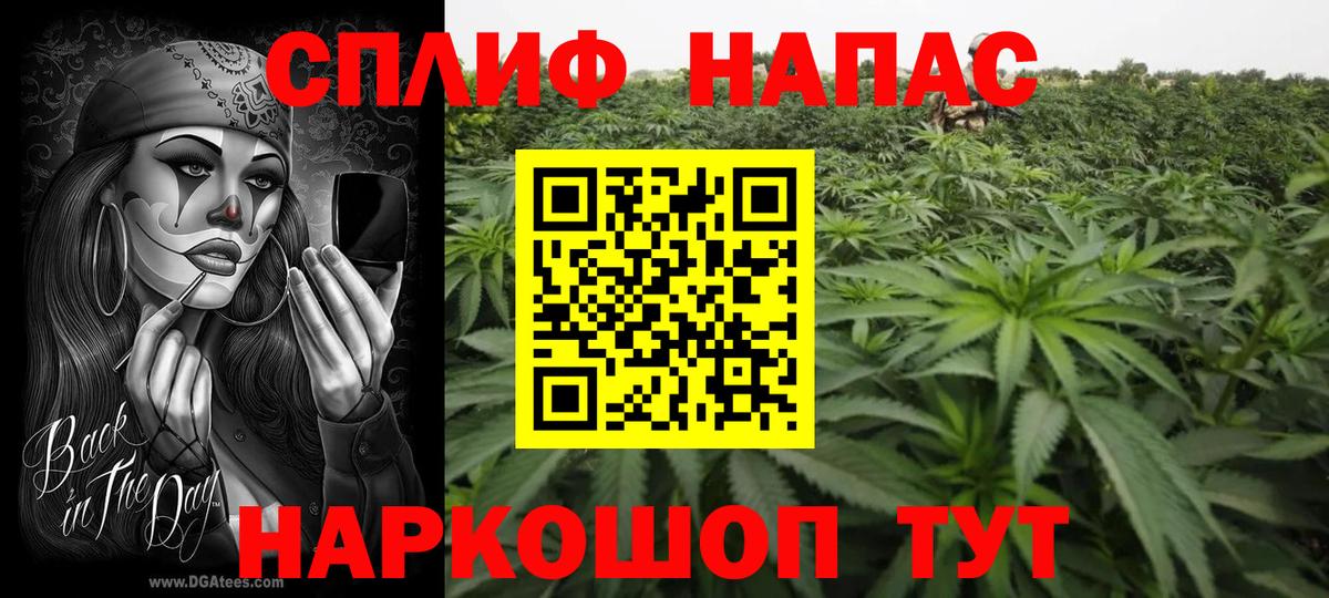 МАРИХУАНА Bruce Banner  Каннабис ГИДРОПОН  Егорьевск  МАРИХУАНА ГИДРОПОН  МАРИХУАНА Ganja  Вход с VPN 